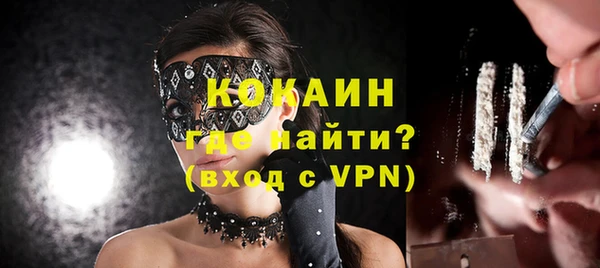 бошки Белокуриха
