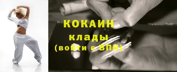 бошки Белокуриха