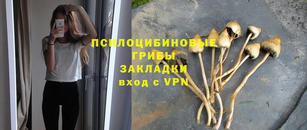 кристаллы Богданович