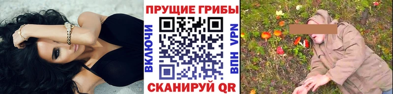 Псилоцибиновые грибы мицелий  маркетплейс формула  Жирновск  закладки 